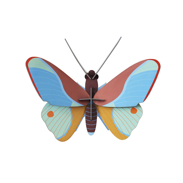 3D Cardboard Model Kit | Wall Art | B7 | Claudina Butterfly | Studio Roof