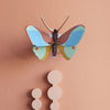 3D Cardboard Model Kit | Wall Art | B7 | Claudina Butterfly | Studio Roof
