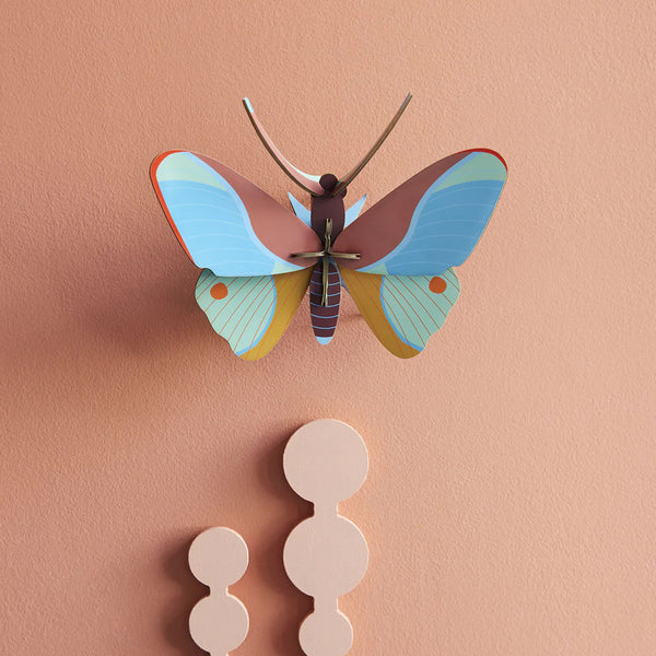 3D Cardboard Model Kit | Wall Art | B7 | Claudina Butterfly | Studio Roof