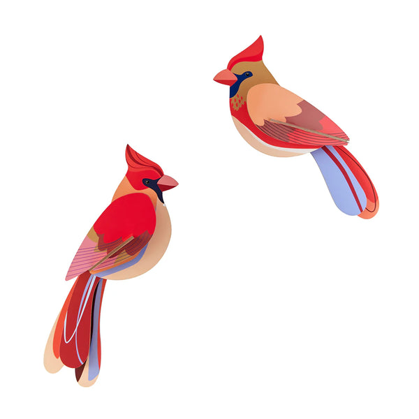 3D Cardboard Model Kit | Wall Art | B6 | Garden Birds | Cardinals | Studio Roof