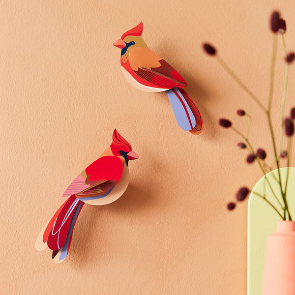 3D Cardboard Model Kit | Wall Art | B6 | Garden Birds | Cardinals | Studio Roof