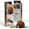 3D Cardboard Model Kit | Beaver | Eugy