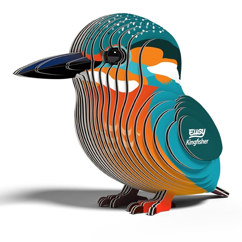 3D Cardboard Model Kit | Kingfisher | Eugy