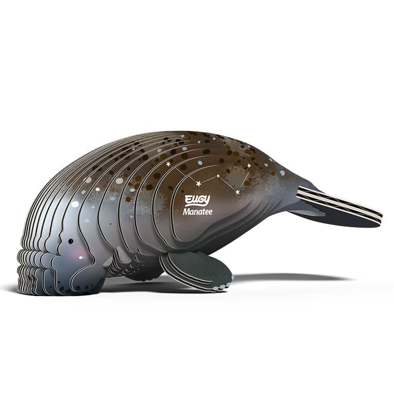 3D Cardboard Model Kit | Manatee | Eugy