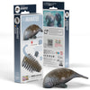 3D Cardboard Model Kit | Manatee | Eugy
