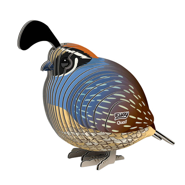 3D Cardboard Model Kit | Quail | Eugy