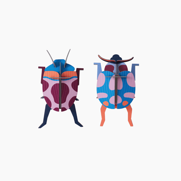 3D Cardboard Model Wall Art Kit | Small Models | Coccinelle Couple | Studio Roof