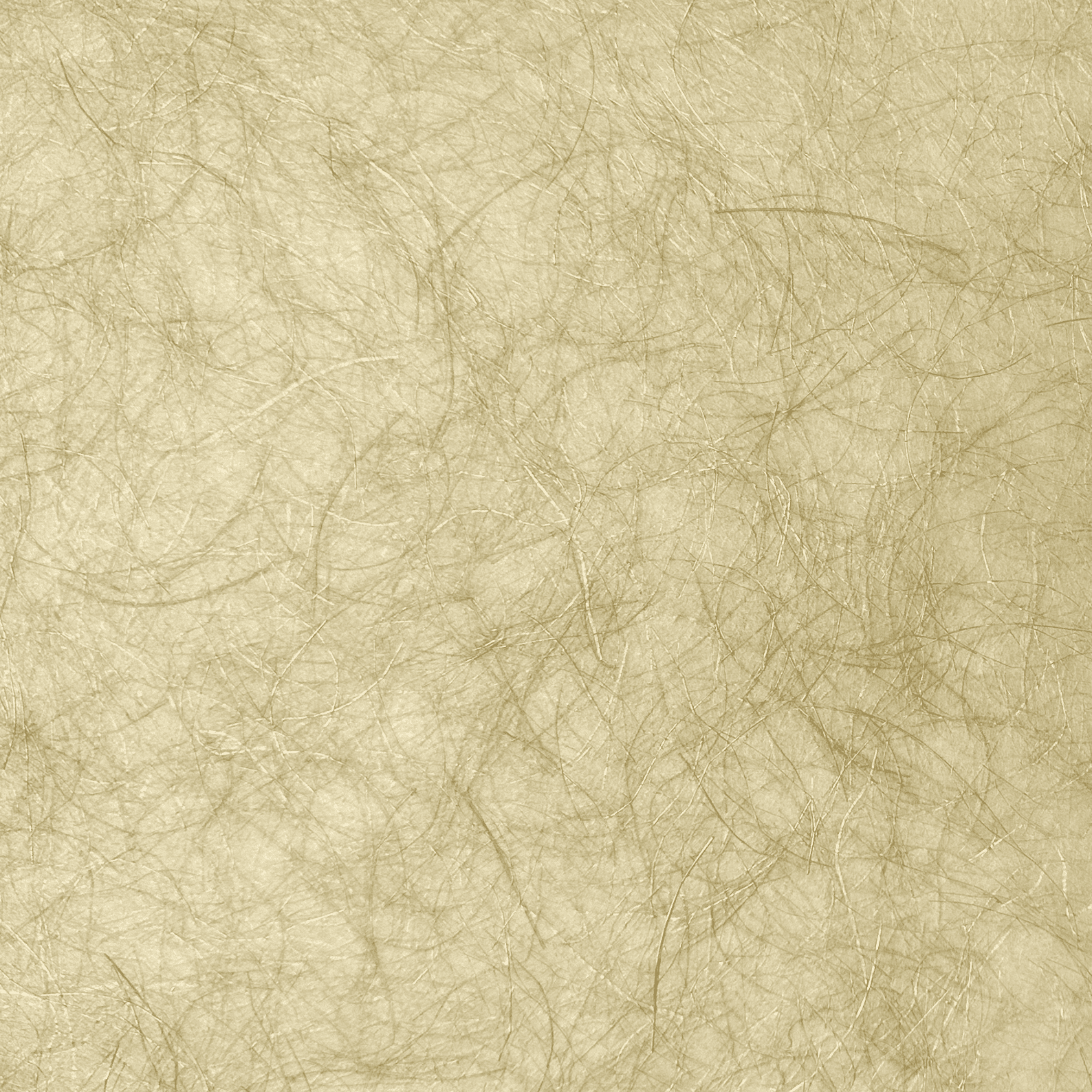 A4 Paper Pack | Japanese Collection F | 5 Designs | 25 Sheets