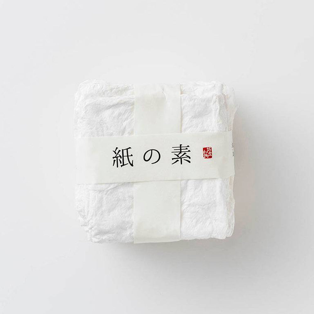 Art & Craft Kit | Kami No Moto Japanese Paper Making Kit | Awagami