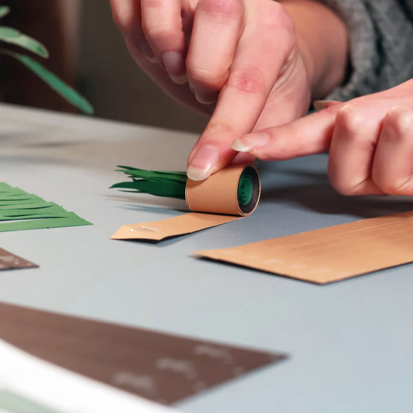 Art & Craft Kit | Paper Plants | Pikkii