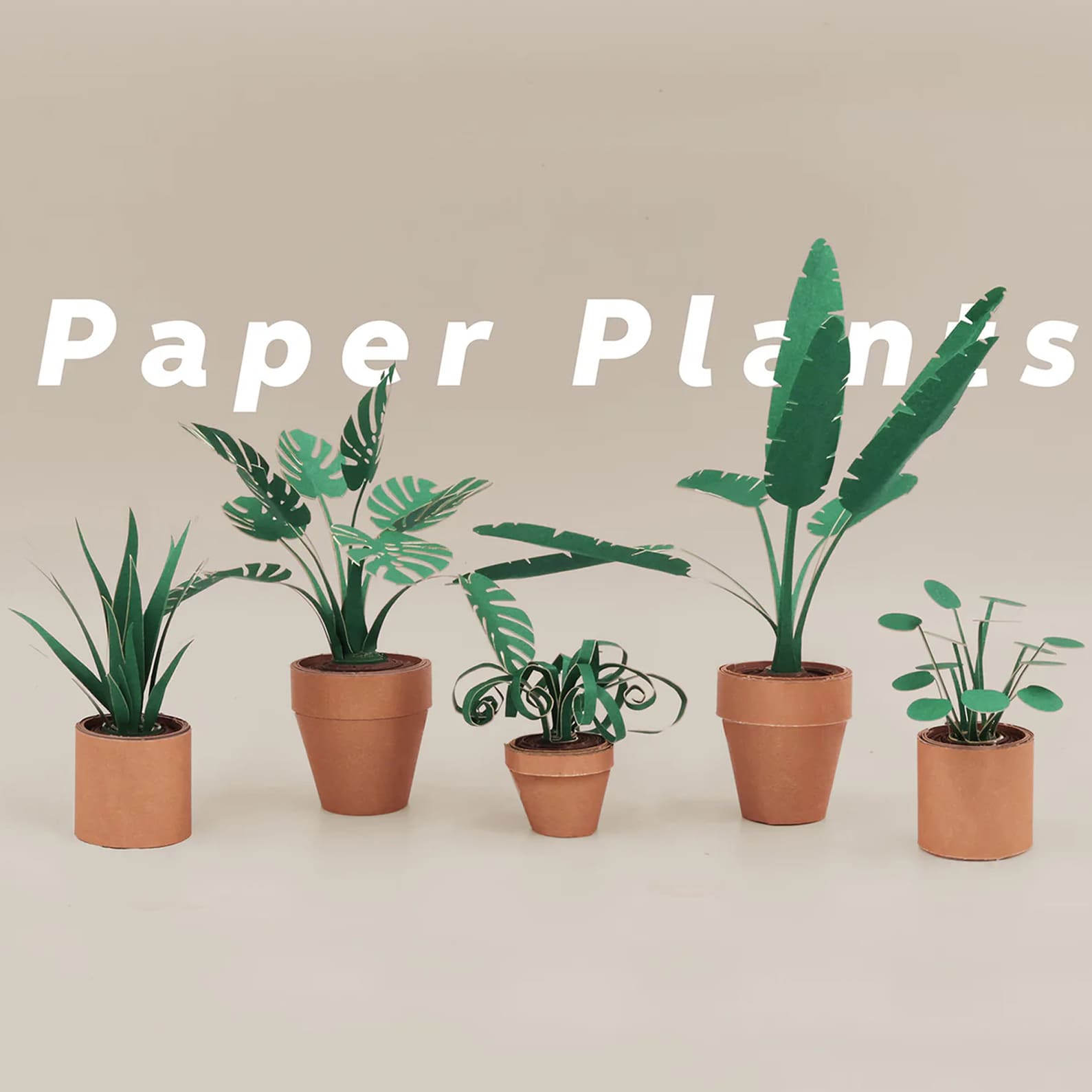 Art & Craft Kit | Paper Plants | Pikkii
