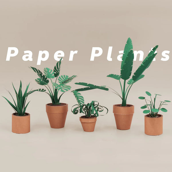 Art & Craft Kit | Paper Plants | Pikkii