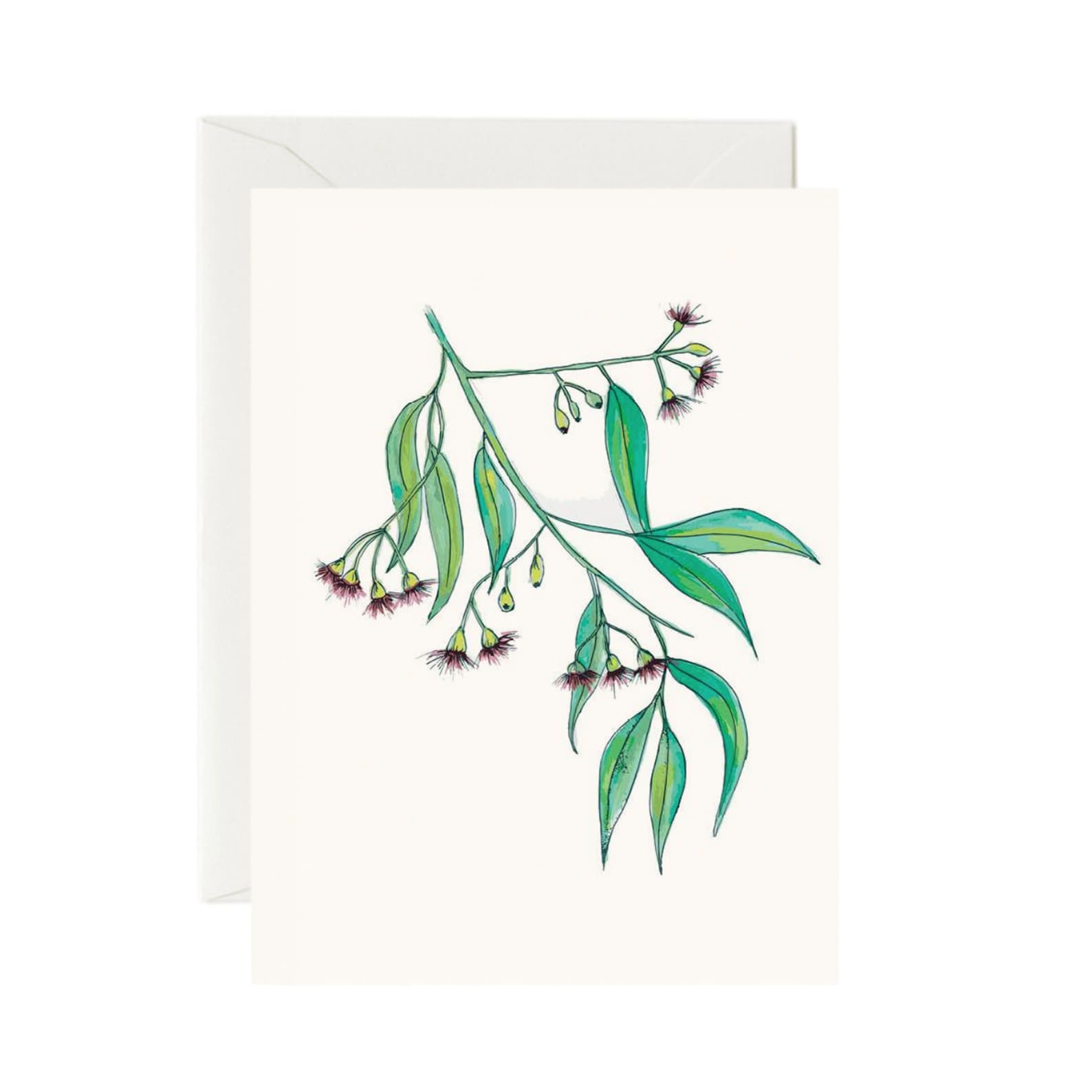 Australiana Card | Gum Leaves | Nuovo Group