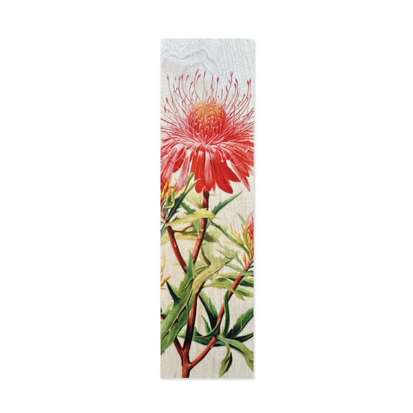 Bookmark | Isopogon Roseus | Woodhi