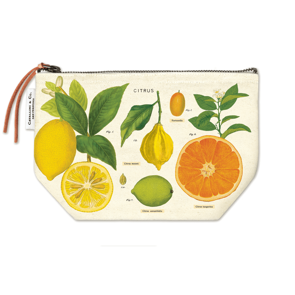 Pouch | Citrus | Cavallini & Co.