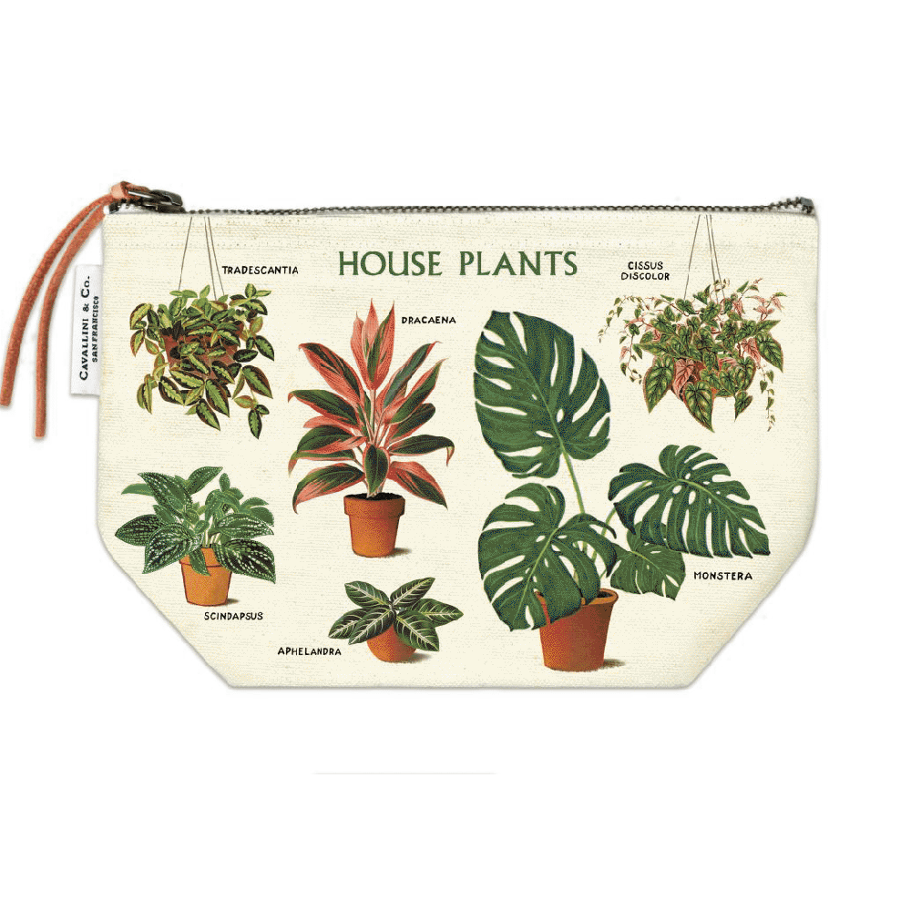 Pouch | House Plants | Cavallini & Co.