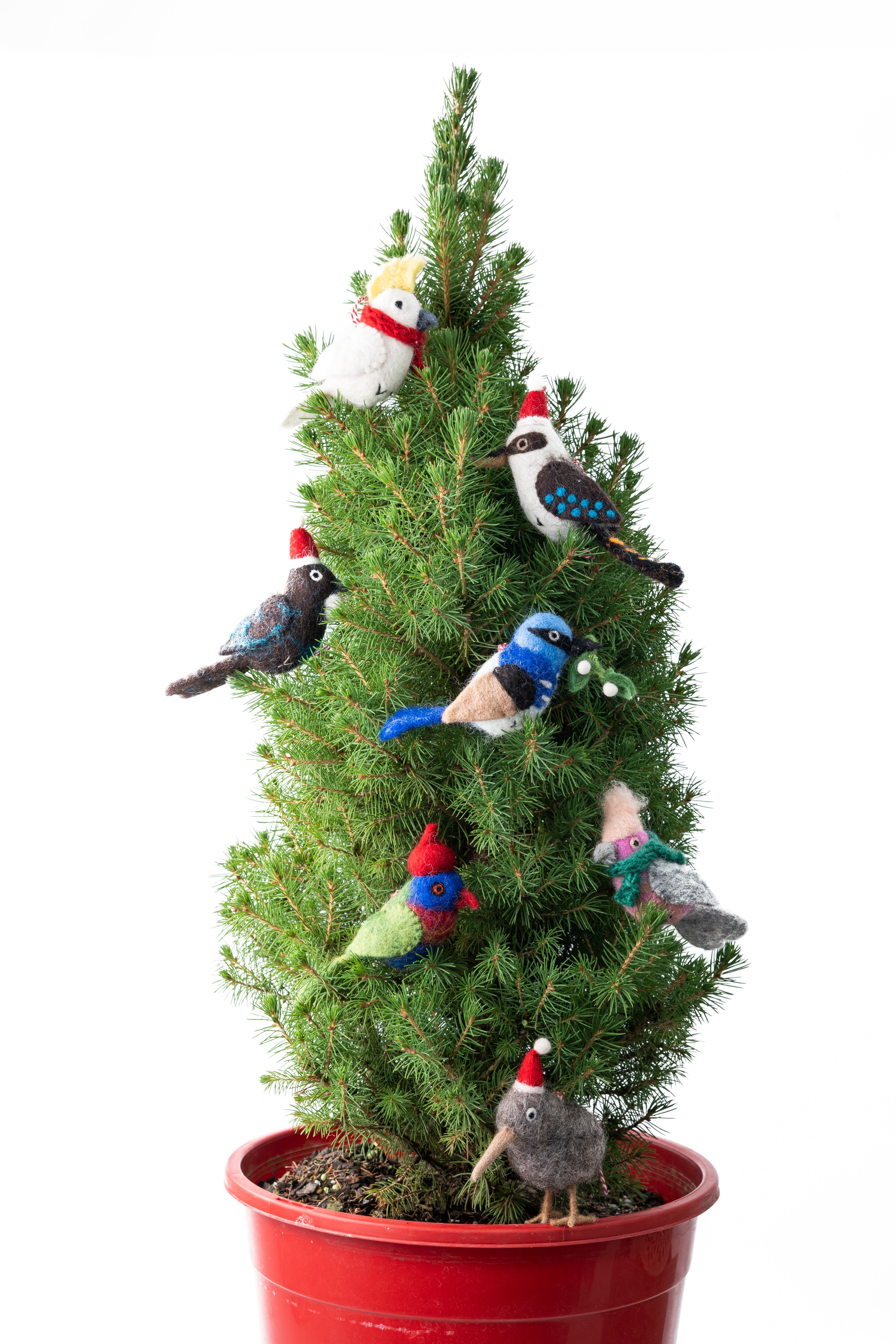Christmas Decoration | Felt Kookaburra Kate | Gifted Hands
