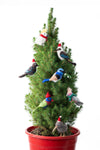 Christmas Decoration | Felt Kookaburra Kate | Gifted Hands