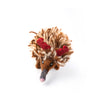Christmas Decoration | Felt Echidna Edna | Gifted Hands