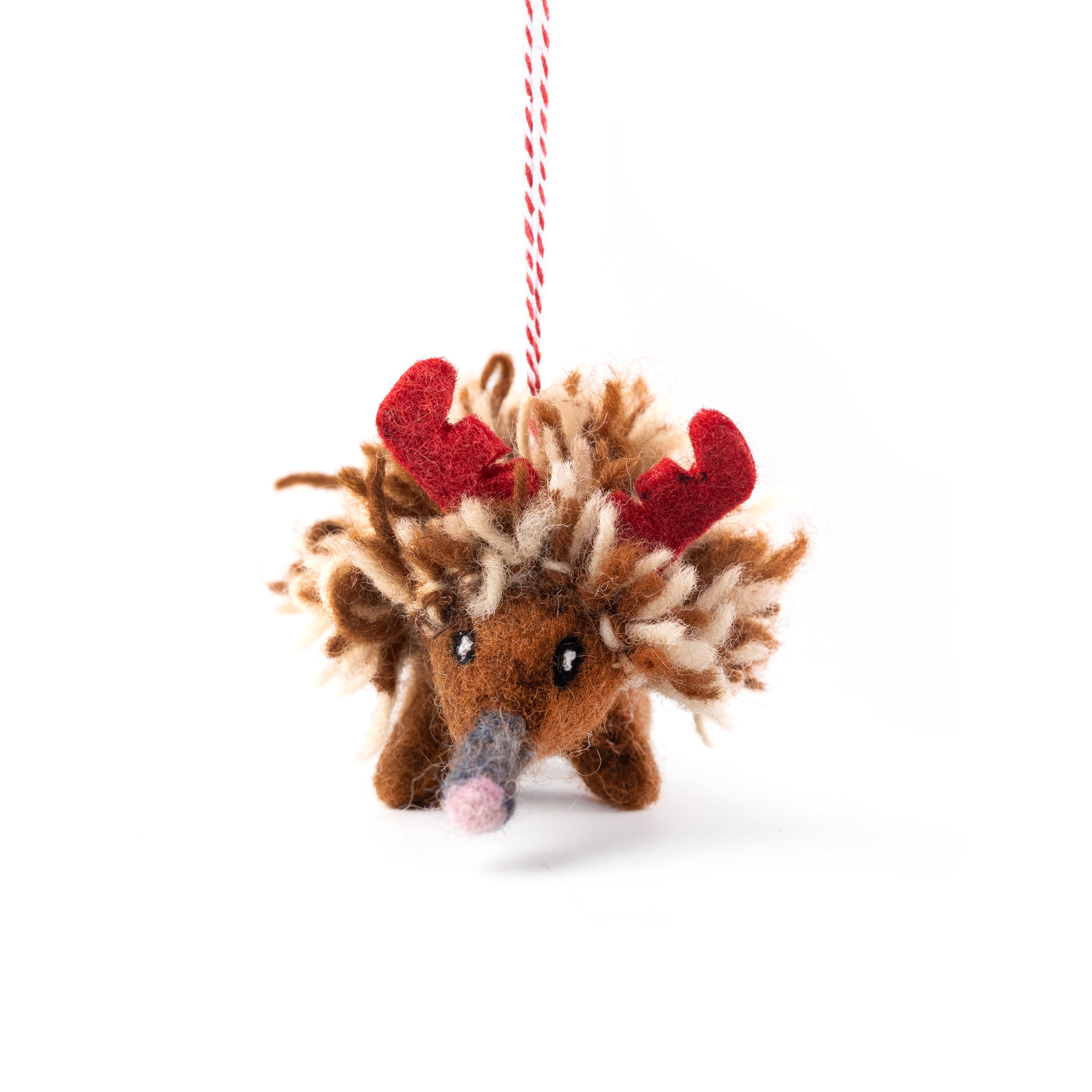 Christmas Decoration | Felt Echidna Edna | Gifted Hands