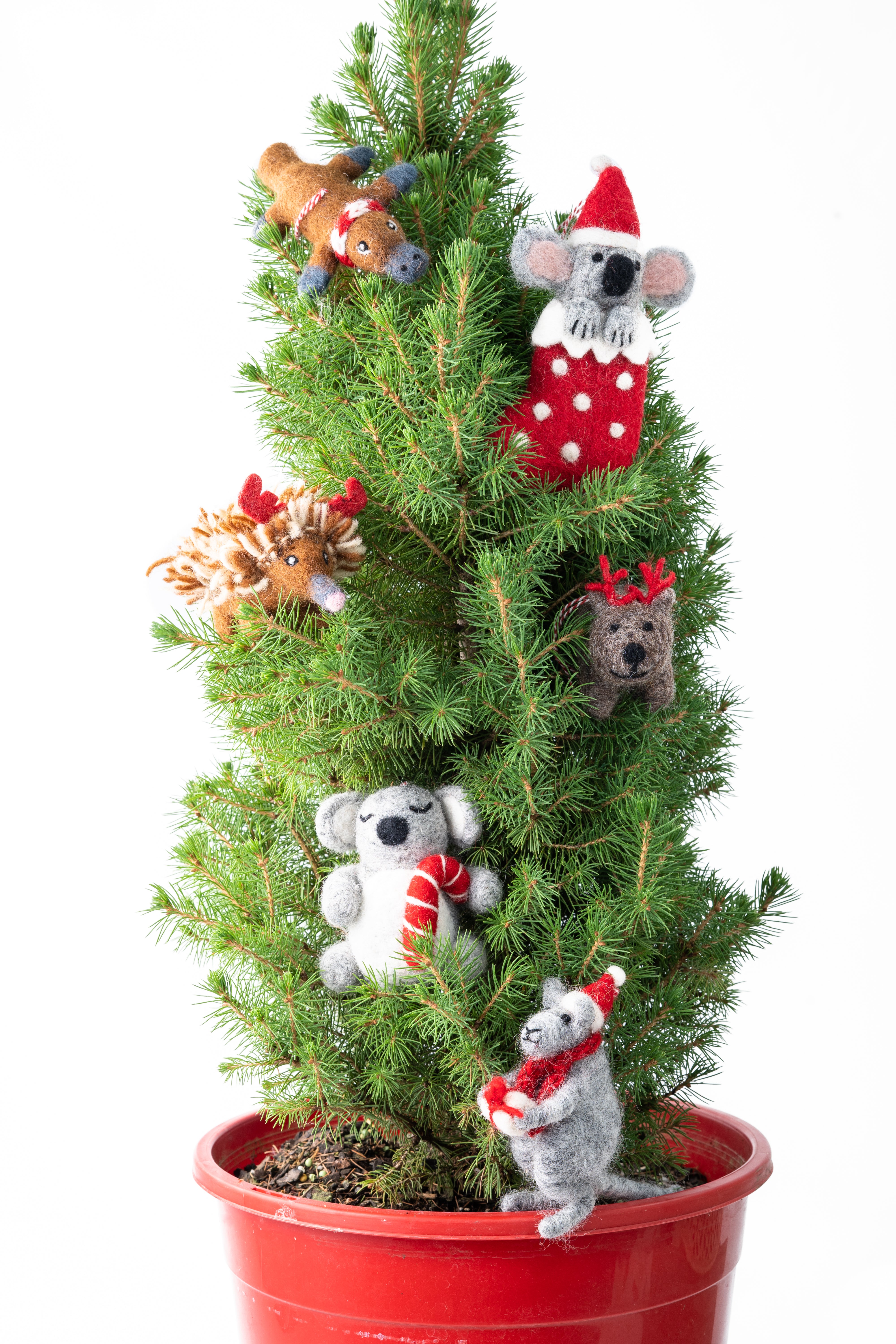 Christmas Decoration | Felt Echidna Edna | Gifted Hands
