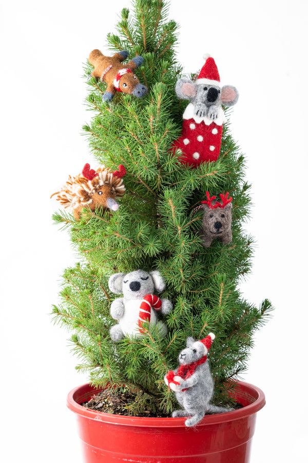 Christmas Decoration | Felt Echidna Edna | Gifted Hands