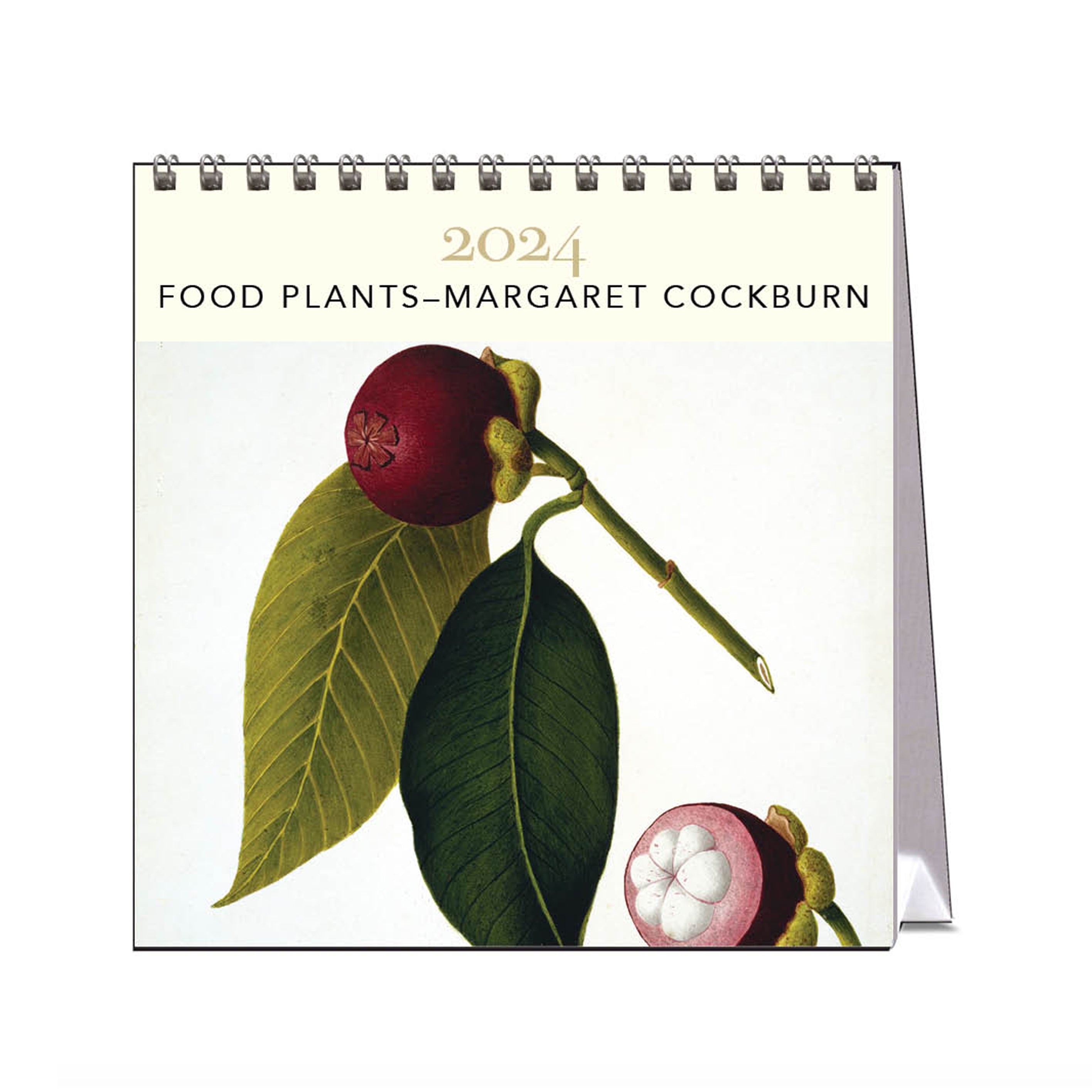 2024 Desk Calendar | Plant Foods Margaret Cockburn | Hello Sunday
