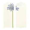 Kami Letter Writing Set | Summer Floral | Midori
