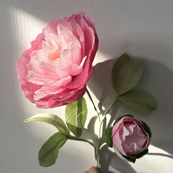Art & Craft Kit | Crepe Paper Flower Kit | Peony | Kami