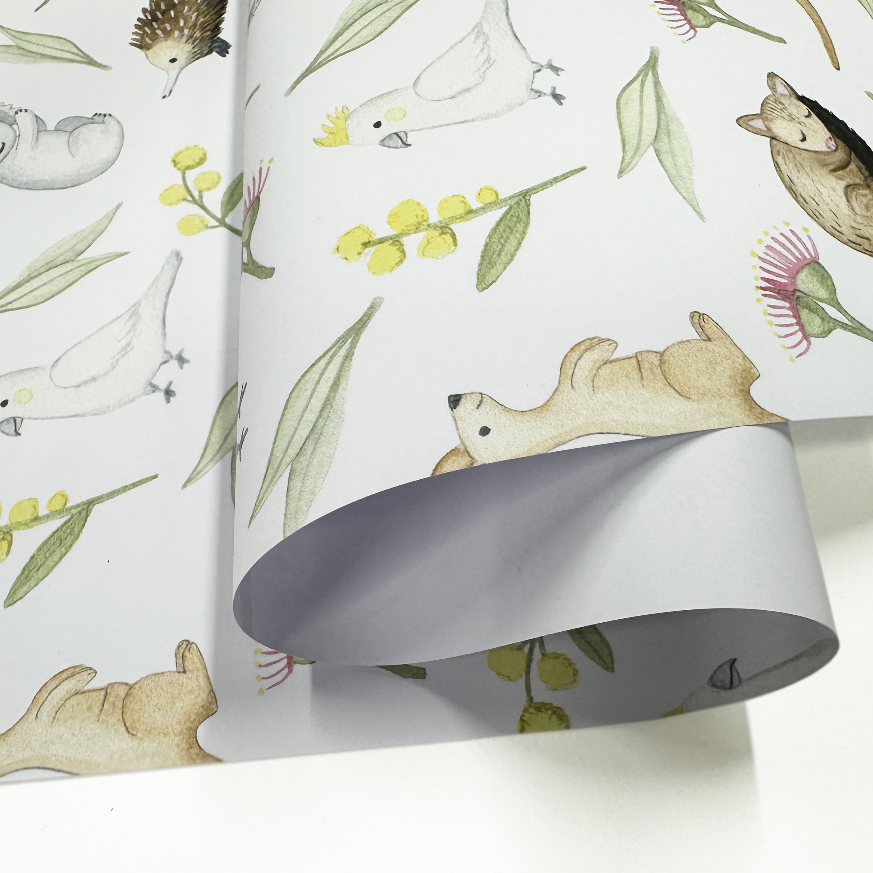 Aussie Wrapping Paper Wrapping Paper | Australian Animals | Nuovo Group