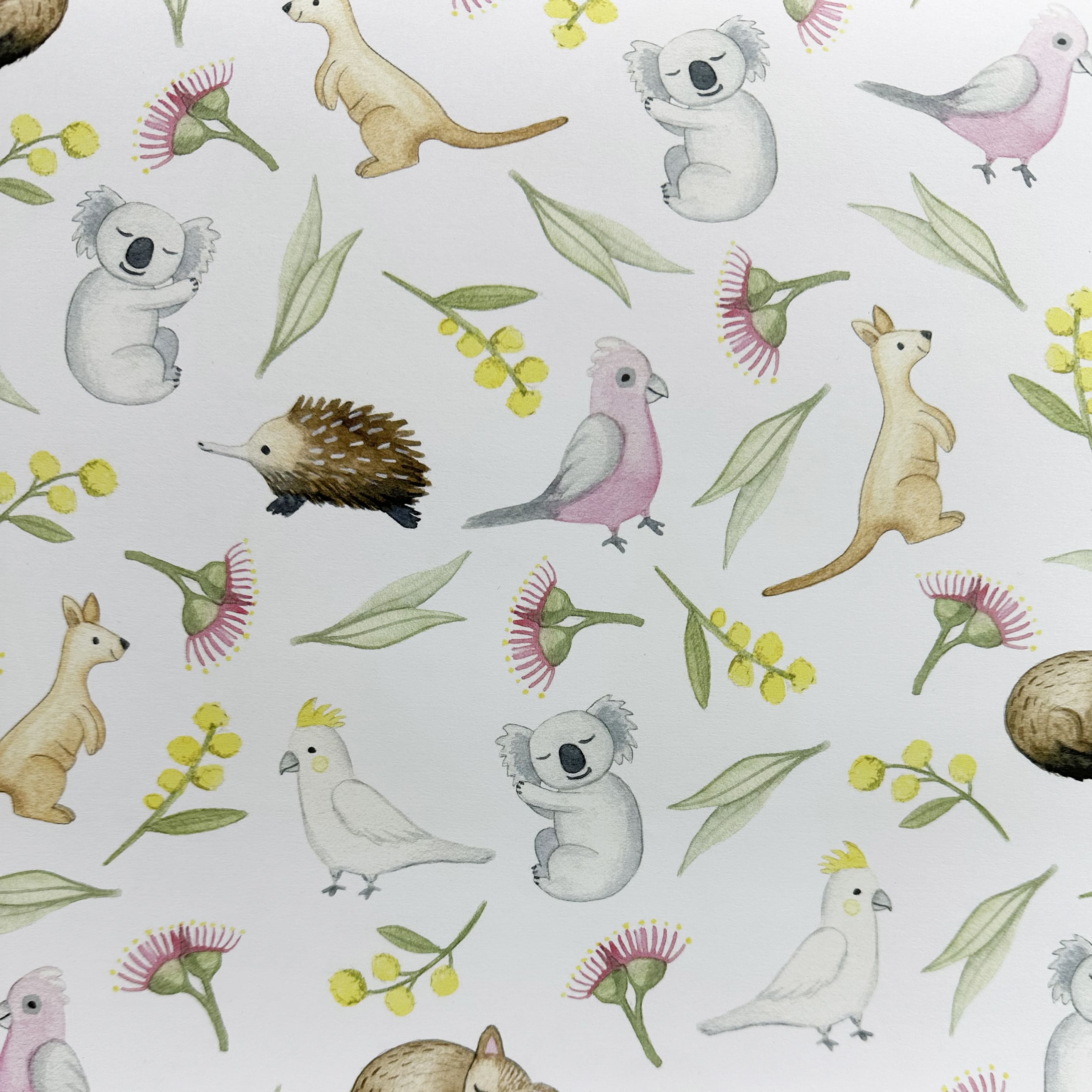 Aussie Wrapping Paper Wrapping Paper | Australian Animals | Nuovo Group