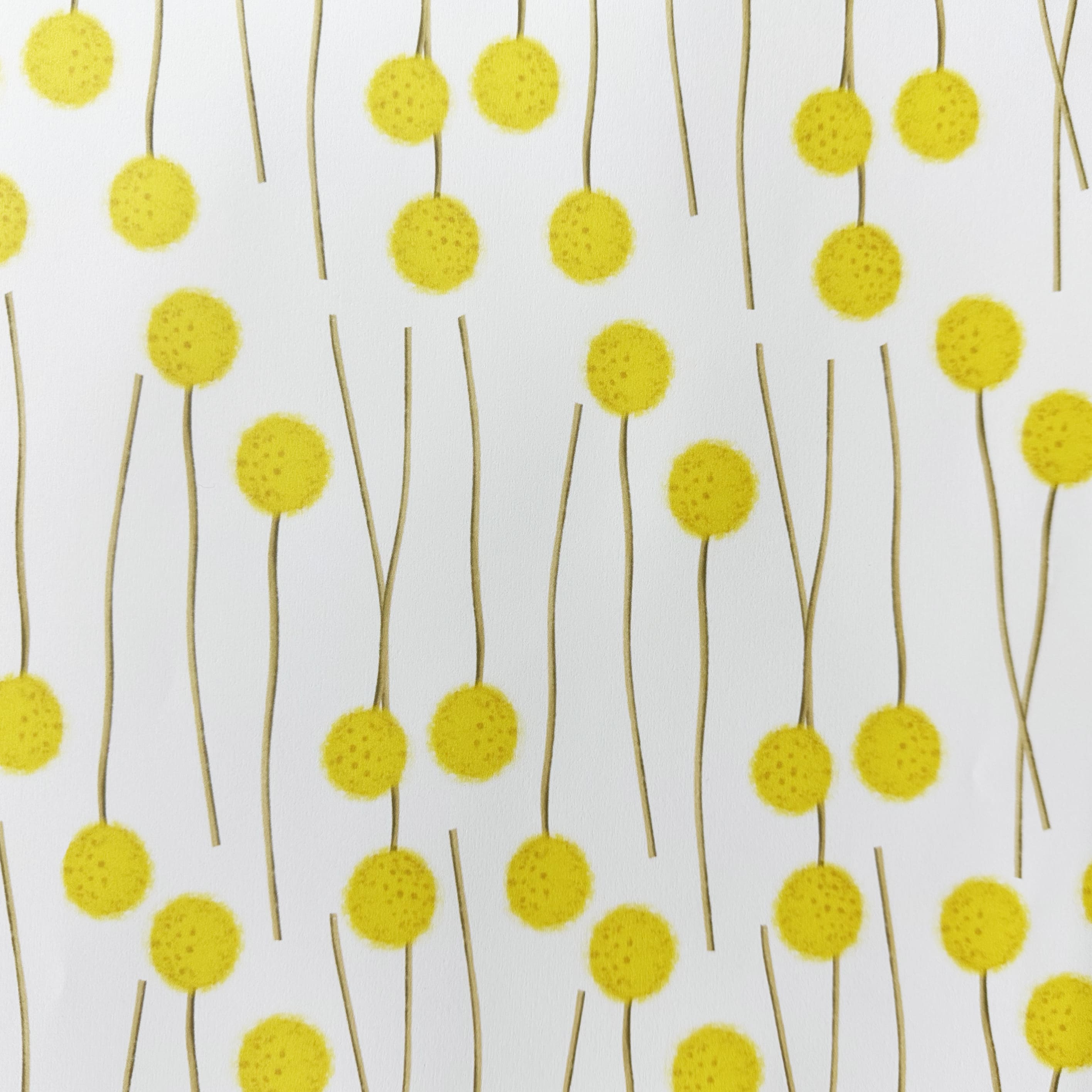Button Wrapping Paper Wrapping Paper | Billy Button | Nuovo Group