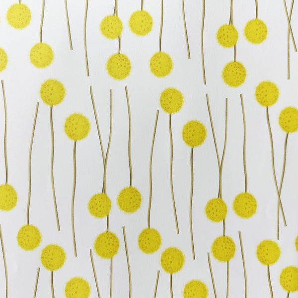 Wrapping Paper | Billy Button | Nuovo Group
