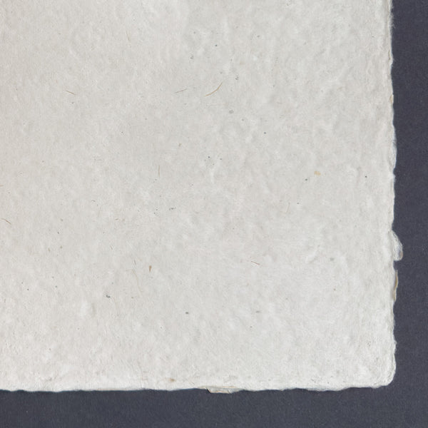 Nepalese Paper | Single | Handmade Lokta Deckled Edge | Lokta Natural | 100gsm | 2 SIZE OPTIONS AVAILBLE - Kami Paper