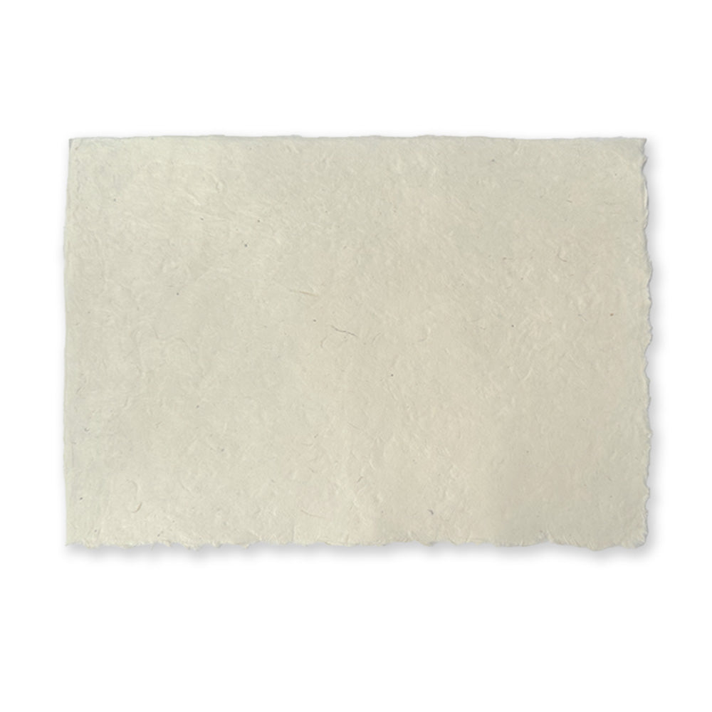 Nepalese Paper | Single | Handmade Lokta Deckled Edge | Lokta Natural | 80gsm | 2 SIZE OPTIONS AVAILBLE