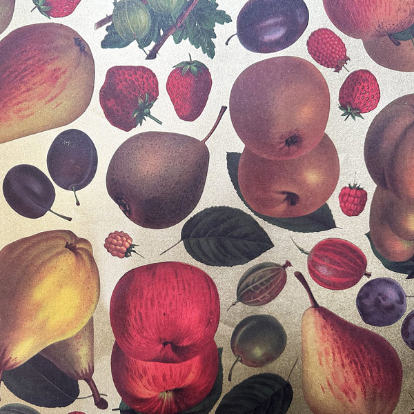Italian Paper | Fruit  | Rossi 1931
