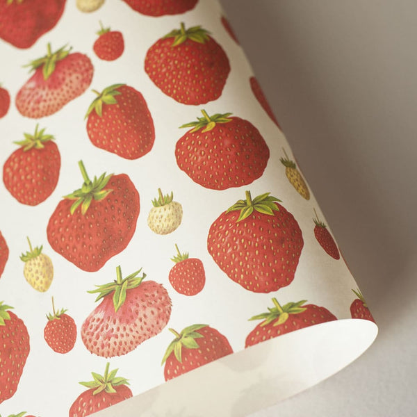 Italian Paper | Strawberries | Rossi 1931