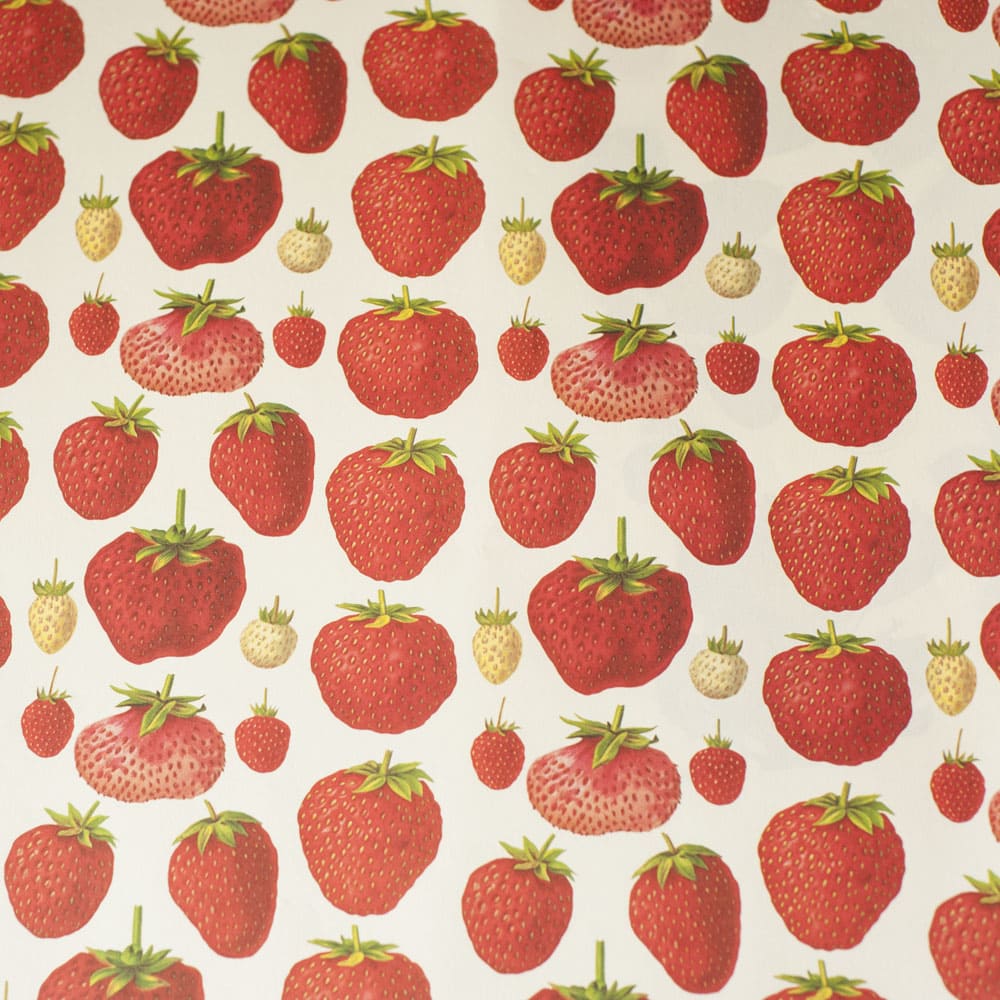 Italian Paper |  Strawberries | Rossi 1931