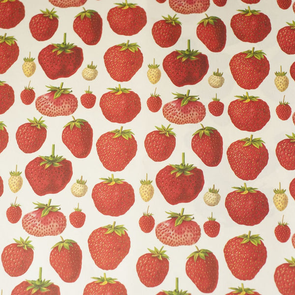 Italian Paper | Strawberries | Rossi 1931