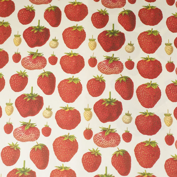 Italian Paper |  Strawberries | Rossi 1931