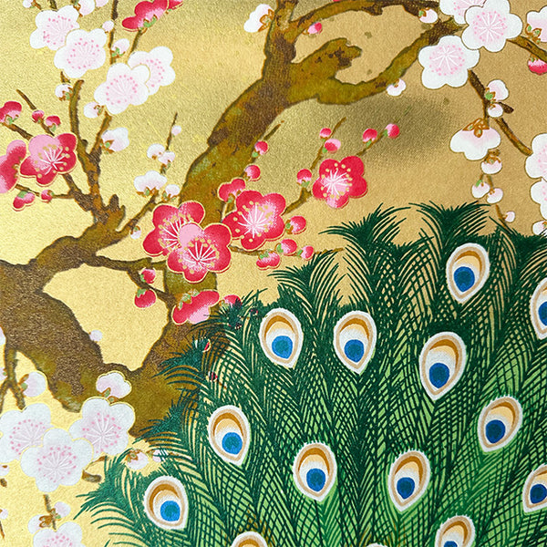 Japanese Paper | Sogara Yuzen | Peacock