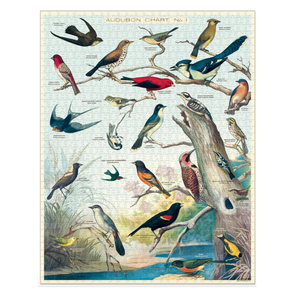 Vintage Jigsaw Puzzle | 1000 Pieces | Adubon Birds | Cavallini and Co.