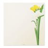 Kami Letter Writing Set | Spring Florals | Midori