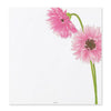 Kami Letter Writing Set | Gerbera | Midori