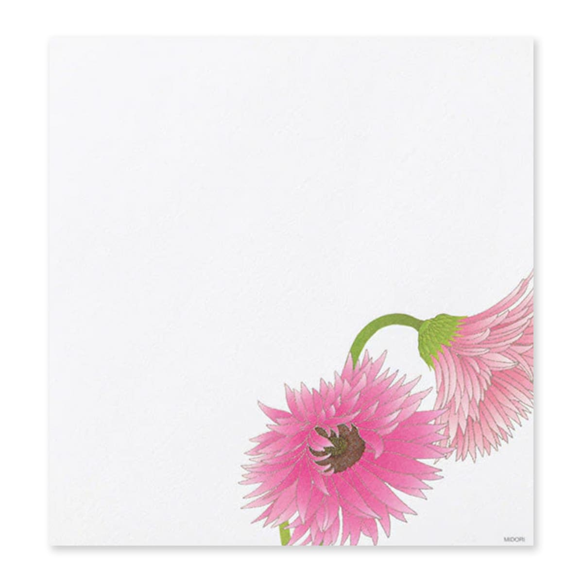 Kami Letter Writing Set | Gerbera | Midori