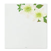 Kami Letter Writing Set | Summer Floral | Midori