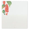 Kami Letter Writing Set | Winter Fruit | Midori