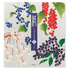 Kami Letter Writing Set | Winter Fruit | Midori