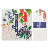 Kami Letter Writing Set | Winter Fruit | Midori