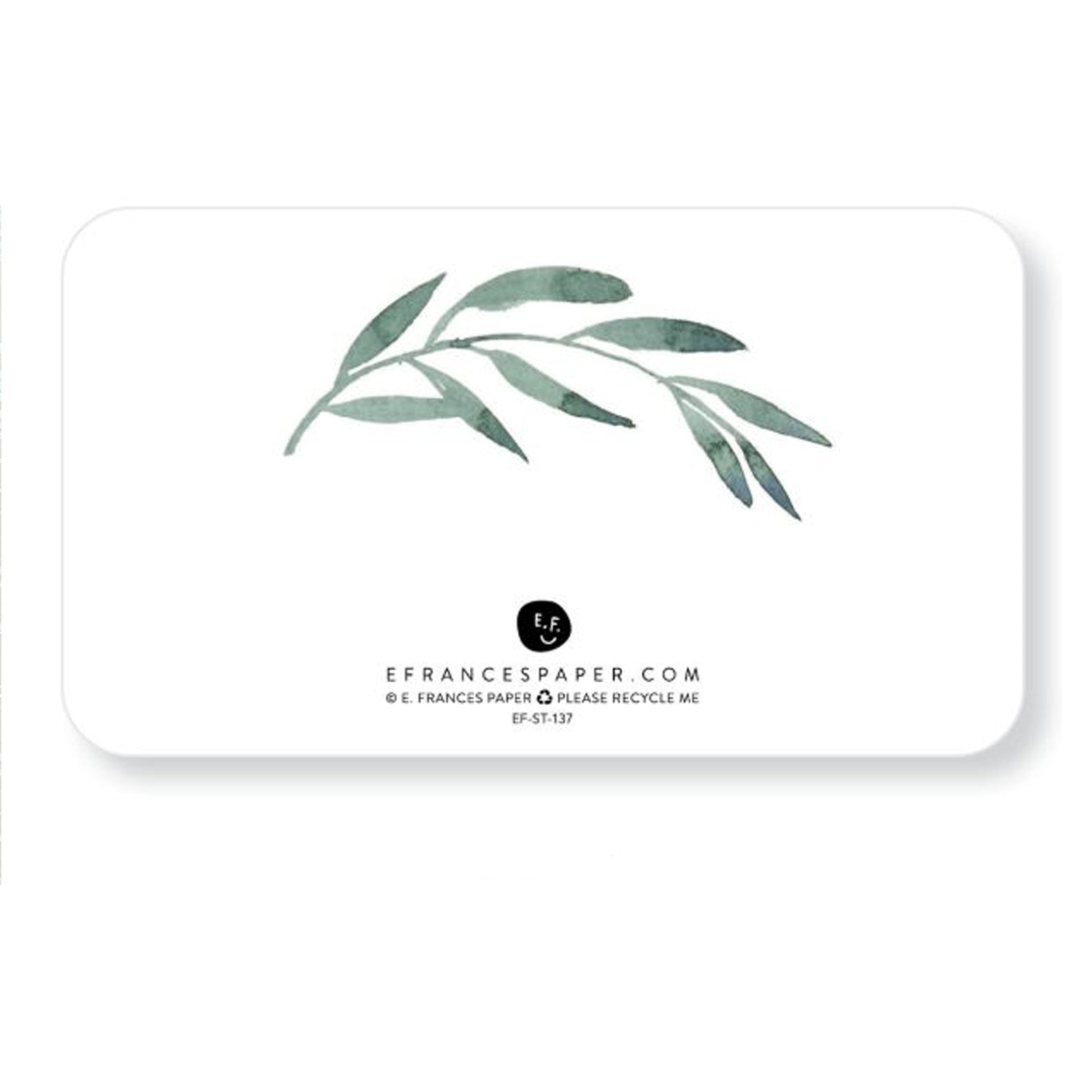 Note Card Set | Little Notes | Olive Branch | E. Frances Paper - Kami Paper